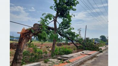 हावाहुरीले छानो भत्किँदा दुई मजदुर घाइते