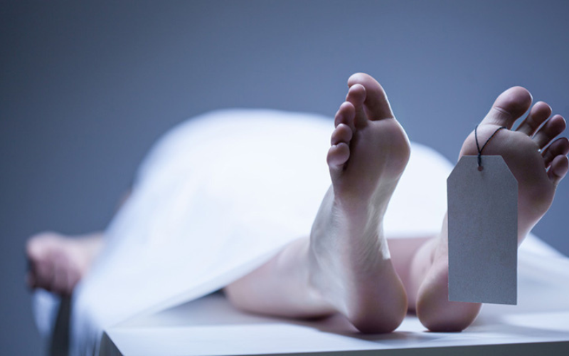 धारिलो हतियार प्रयोग गरी दम्पतीको हत्या