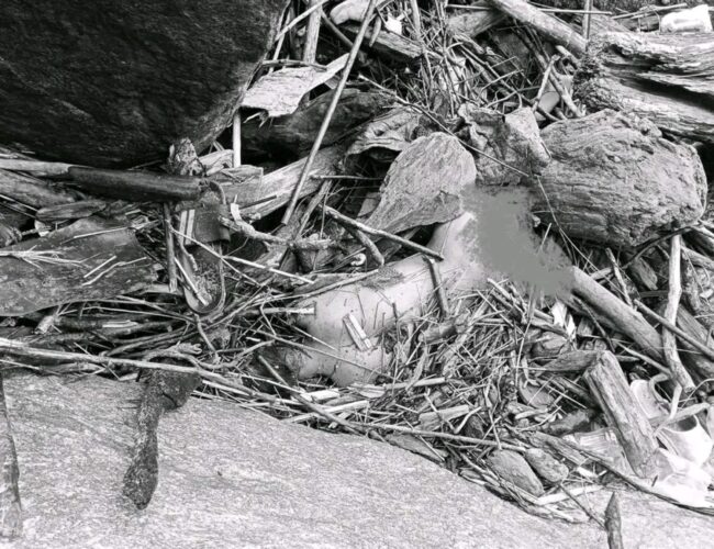 भानुमा बेपत्ता किशोरीको रहस्यमय मृत्यु, पालुङटारमा शव फेला